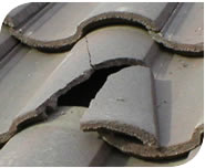 Roof Repair Peter Nicholas